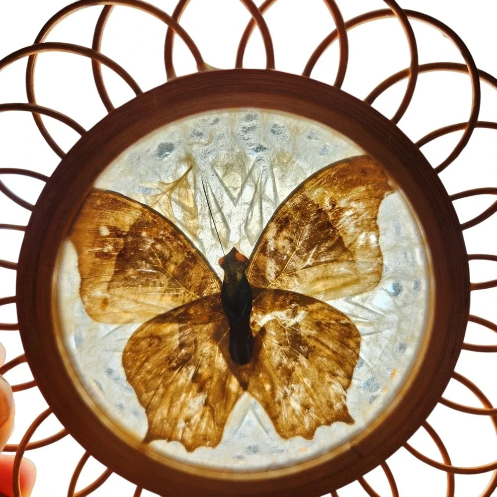 Set of 6 Vintage 1970's Round Pressed Butterfly Bamboo Coasters Bohemian Nature